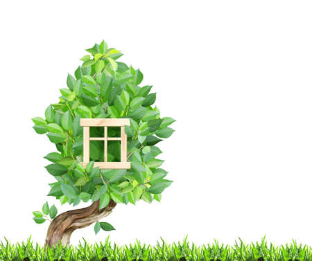 Eco friendly home concept. Eco house made up of green leaves and grass. Ecology and zero waste. Isolated on white backgroundの写真素材