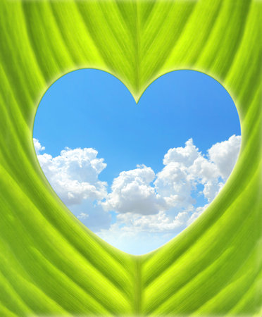 Heart-shaped hole in green leaf and blue sky with clouds. Go green. Ecology, global ecological resource, eco and zero waste conceptの写真素材