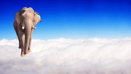 Horizontal banner with elephant above clouds on blue sky background. Cute elephant in the sky. Fantastic scene with an elephant walking on the clouds. Mock up template. Copy space for textの写真素材