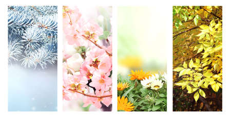 Four seasons of year. Set of vertical nature banners with winter, spring, summer and autumn scenes. Nature collage with seasonal scenics. Copy space for textの写真素材