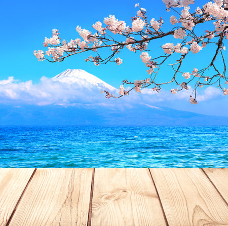 Sacred Mount Fuji, blooming sakura branch, lake and old wooden plank, Japan. Empty wooden table top and scenic with pond and Fujiyama volcano. Rustic wood table. Mock up template. Copy space for textの写真素材