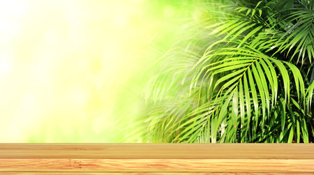 Old wooden table and palm leaves. Empty wooden table top and green tropical plant leaf on sunny background. Rustic wooden board on nature backdrop. Product display template. Copy space for textの写真素材