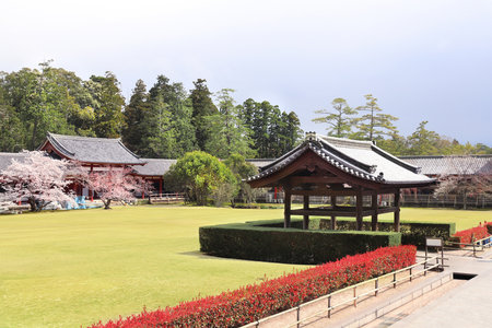 Wooden pavilion and blooming sakura trees in garden near to Todaiji Temple (Great Eastern Temple), Nara, Japan. Japanese hanami festival. Cherry blossoming season in Japanのeditorial素材