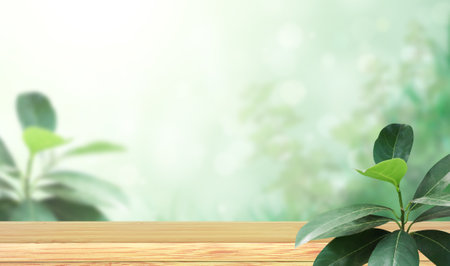 Old wooden table, green leaves and abstract background. Empty wooden table top on blurred backdrop. Rustic wooden board on nature background. Product display template. Copy space for textの写真素材