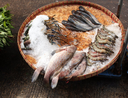 Freshly caught fish and shrimp in a wicker basket in ice, morning fish market, Myanmar (Burma)の写真素材