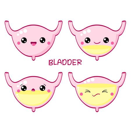 Set of human bladder in kawaii style with smiling face and pink cheeks. Collection of cute human internal organs characters. Full and empty bladder. Vector illustration EPS8のイラスト素材