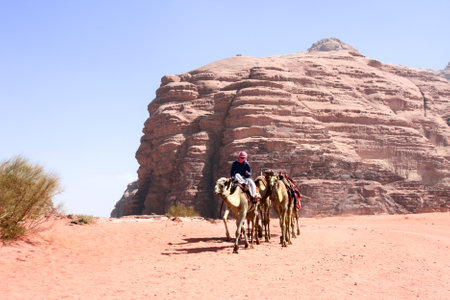 Bedouin with caravan of camels dromedary ride on off-road on sand among the rocks in Wadi Rum desert, Jordan. Desert landscape with camels, red sand and rocky mountains in Valley of the Moonのeditorial素材