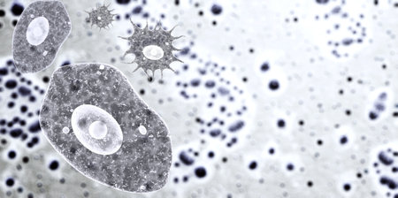 Horizontal or vertical banner with pathogenic bacterias and viruses. Amoeba under microscope. Fast multiplication of bacteria. Infection and microbe. Copy space for text. 3d renderの写真素材