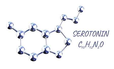 Chemical formula of Serotonin - happiness hormone. Molecular model of Serotonin hormone. Isolated on white background. Can be used for science and education presentation. 3d renderの写真素材