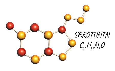 Chemical formula of Serotonin - happiness hormone. Molecular model of Serotonin hormone. Isolated on white background. Can be used for science and education presentation. 3d renderの写真素材