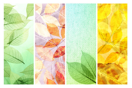 Set of vertical or horizontal vintage nature banners with autumn leaves. Collection of fall banners with yellow and red leaf and retro canvas and paper texture. Copy space for textの写真素材