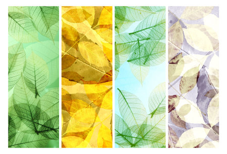 Set of vertical or horizontal vintage nature banners with autumn leaves. Collection of fall banners with yellow and red leaf and retro canvas and paper texture. Copy space for textの写真素材