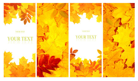 Set of vertical nature banners with autumn scenes. Collection of fall backdrops with yellow and red autumn leaves. Copy space for textの写真素材