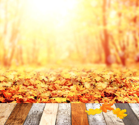 Fall season. Old wooden table, maple leaves and blurred background with autumn forest. Empty wooden table top. Rustic wooden board on nature background. Product display template. Copy space for textの写真素材