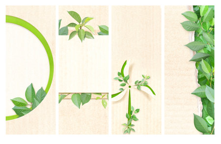 Ecology, nature and clean alternative energy concept. Wind turbine on cardboard texture. Set of vertical banner with eco paper texture and green leaves. Recycled carton background. Copy space for textの写真素材