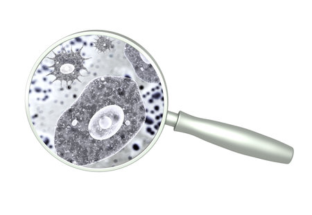 Magnifying glass and pathogenic bacterias and viruses. Fast multiplication of bacteria. Infection and microbe. Amoeba under microscope. Isolated on white background. 3d renderの写真素材