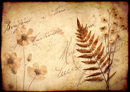 Retro background with dry pressed leaves and flowers on paper texture. Nostalgic scrapbooking backdrop with old vintage paper texture and inscription "Bonjour Ã  tous" (Hello everybody) in frenchの写真素材