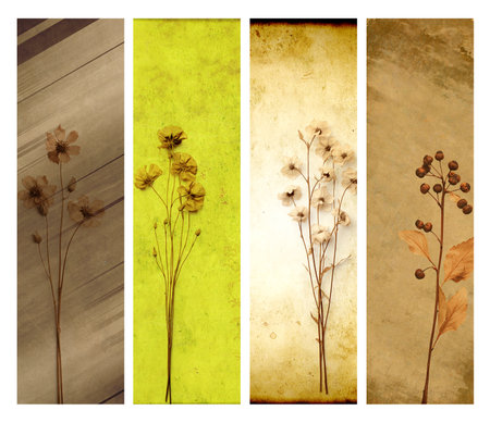 Set of vertical banners with old paper texture and dry pressed leaves and flowers. Nostalgic scrapbooking Ð¼intage backgrounds with grunge paper material and dried flower. Copy space for textの写真素材