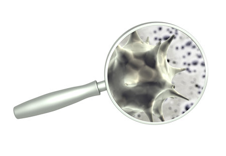 Magnifying glass and pathogenic bacterias and viruses. Fast multiplication of bacteria. Infection and microbe. Isolated on white background. 3d renderの写真素材