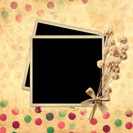 Retro background with photo frame and dry pressed leaf and flower. Nostalgic scrapbooking backdrop with old vintage photo and old paper texture with colorful polka dots pattern. Mockup templateの写真素材