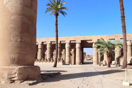 Ancient column and ram-headed sphinxes in so-called Ethiopian court, Karnak temple complex, Luxor, Egypt, North Africaの写真素材