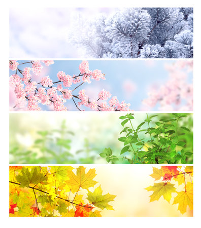 Four seasons of year. Set of horizontal nature banners with winter, spring, summer and autumn scenes. Nature collage with seasonal scenics. Copy space for textの写真素材