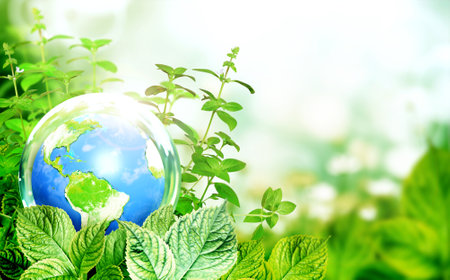 Earth in glass ball on green leaves. Ecology, go green and zero waste concept. Environmental and conservation protection background. Sunny summer backdrop with globe and plants. 3d renderの写真素材