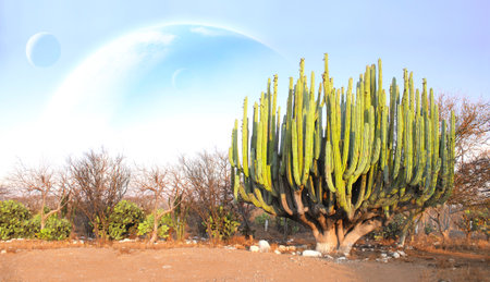 Fantastic scenic with sand desert, giant cacti and planets in sky. Beautiful landscape with red sand dunes, cactus and three planets in blue sky. 3d renderの写真素材