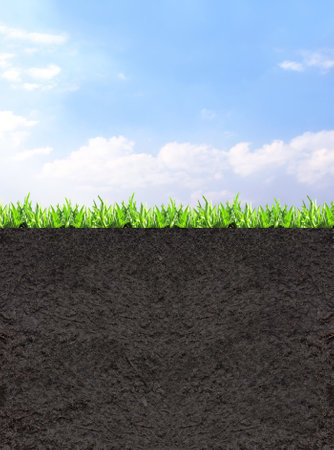 Environmental and conservation protection background. Cross section of grass and soil against blue sky background. Black ground, green grass and blue sky with white clouds. Copy space for textの写真素材