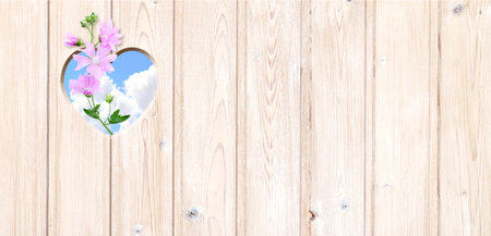 Heart-shaped hole in wooden boards, flower and blue sky with clouds. Heart shape hole in wood fence. Go green. Ecology, global ecological resource, eco and zero waste concept. Copy space for textの写真素材