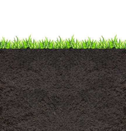 Environmental and conservation protection background. Cross section of grass and soil. Side view of black ground and green grass. Copy space for text. Isolated on white backgroundの写真素材