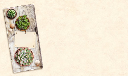 Home garden, hobby and leisure concept. Gardening and floriculture. Background with paper label, wood beads, cactus and succulents in pot on old wooden board. Mock up template. Copy space for textの写真素材