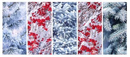 Set of vertical Christmas banners with branch of pine and fir-tree covered with frost. Holiday xmas background with frozen branches of treeの写真素材