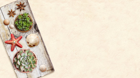 Travel background with shell, wood beads, toy starfish, succulents in pot on old wooden board. Ecology, environmental conservation and zero waste concept. Mock up template. Copy space for textの写真素材