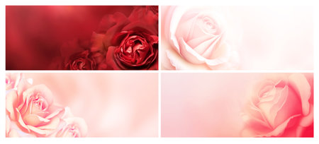 Set of horizontal banners with rose of pink and red color on blurred background. Copy space for text. Mock up template. Can be used for wallpaper, wedding card, web page backdropの写真素材