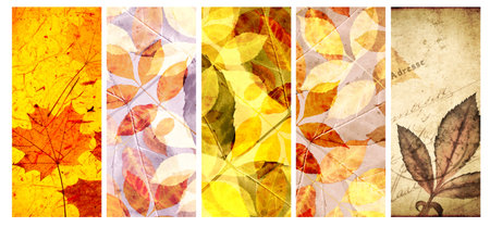 Set of vertical or horizontal vintage nature banners with autumn leaves. Collection of fall banners with yellow and red leaf and retro paper texture. Copy space for textの写真素材