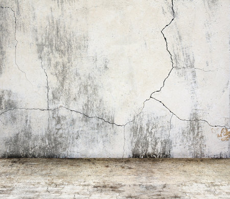 Empty interior scene with stucco wall and concrete floor. Open space with cement wall and floor. Rugged weathered urban wall backdrop. Mock-up with copy space. Grunge interior background. 3d renderの写真素材