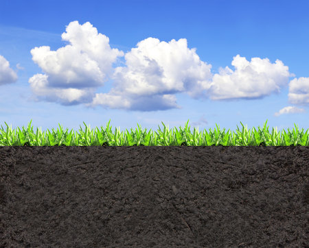 Environmental and conservation protection background. Cross section of grass and soil against blue sky background. Black ground, green grass and blue sky with white clouds. Copy space for textの写真素材