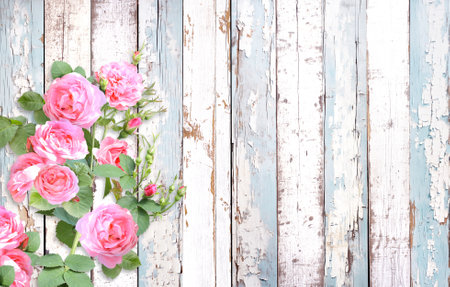 Pink roses on old wooden boards. Valentine's day horizontal banner with a romantic and vintage touch. Mother's day background with roses to express love, gratitude. Copy space for textの写真素材