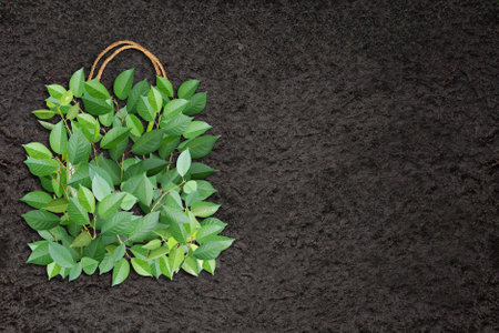 Horizontal Eco background with soil and shopping bag made from green leaves. Responsible consumption. Eco-friendly agricultural business. Ecology and zero waste concept. Copy space for textの写真素材