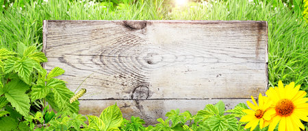 Horizontal Eco background with old wooden board, flowers and green grass. Responsible consumption. Eco-friendly, ecology,  Love of nature, zero waste concept. Horizontal summer banner with copy spaceの写真素材
