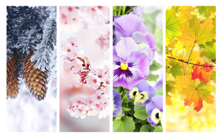 Four seasons of year. Set of vertical nature banners with winter, spring, summer and autumn scenes. Nature collage with seasonal scenics. Copy space for textの写真素材