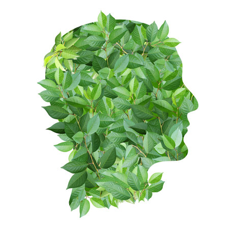 A human profile made of green leaves. Isolated on white. Sustainable development of strategy approach to zero waste, responsible consumption. Reuse, ecology, renewable resource, eco-friendly conceptの写真素材