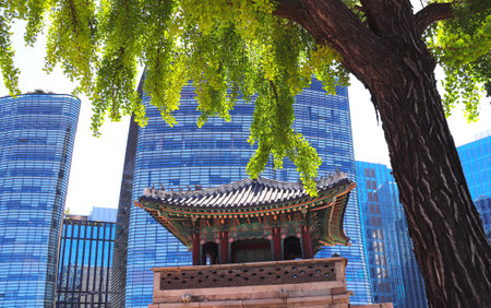 Past and Present, contrast in architecture concept. Ancient pavilion against the background of modern buildings, Seoul, South Korea. Topic of summer travel, trip abroad on vacation, cruises and toursの写真素材