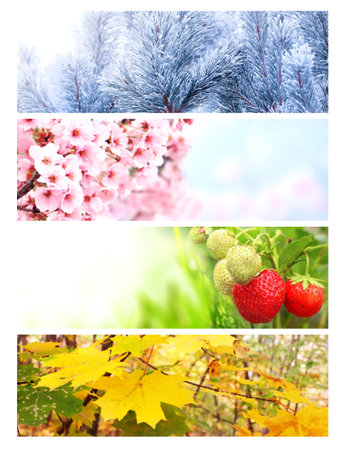 Four seasons of year. Set of horizontal nature banners with winter, spring, summer and autumn scenes. Nature collage with seasonal scenics. Copy space for textの写真素材