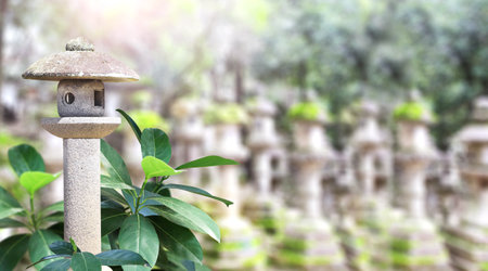 Old stone lantern at Kasuga Grand Shrine, Nara Japan. Picturesque landscape with ancient japanese lantern in Kasuga-Taisha Shrine. Topic of vacation, travel, trip abroad on vacation, cruises and toursの写真素材