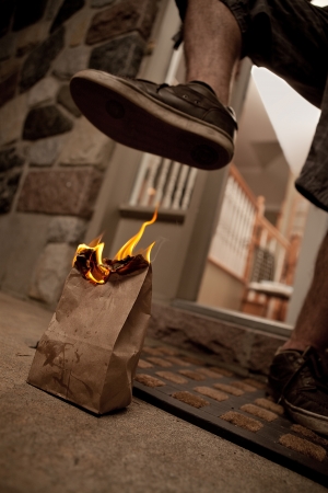 Well Known Flaming poop in bag prank with a foot ready to crush it.の写真素材