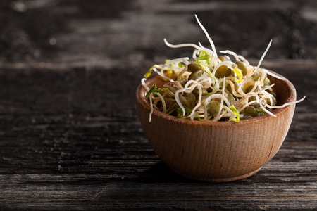 Close-up of French Lentils Sprouts in a Wooden bowlの写真素材