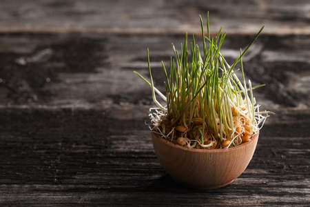 Close-up of Wheat Grass Sprouts in a Wooden bowlの写真素材