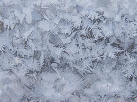 Frosty natural pattern on winter glassの写真素材